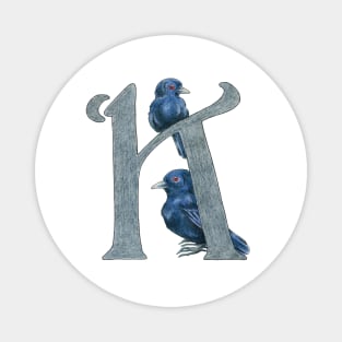 Avian Alphabet K - Blue-billed black tyrant Magnet